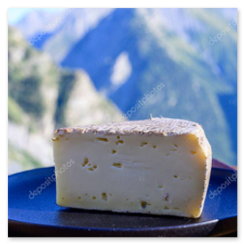 Cheese tasting at an alpine dairy