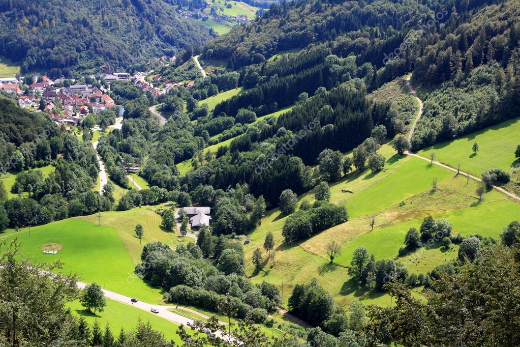Convertible winding through Germany’s Black Forest